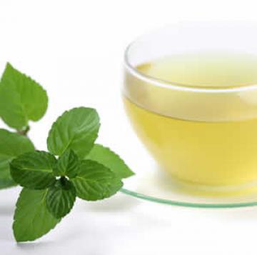 Mint Tea Leaf For Various Herbal Remedies Mint Tea Leaf For Various Herbal Remedies